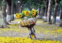 Kinh nghiệm du lịch mùa thu, khám phá những điểm đến hấp dẫn trong nước Kinh nghiệm du lịch mùa thu, khám phá những điểm đến hấp dẫn trong nước